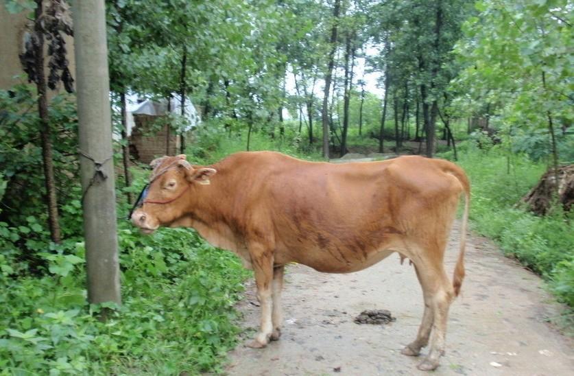 三沙最新求一个套医保卡的黄牛是真的吗方法分析(最方便真实的三沙求一个套医保卡的黄牛是真的吗还是假的方法)